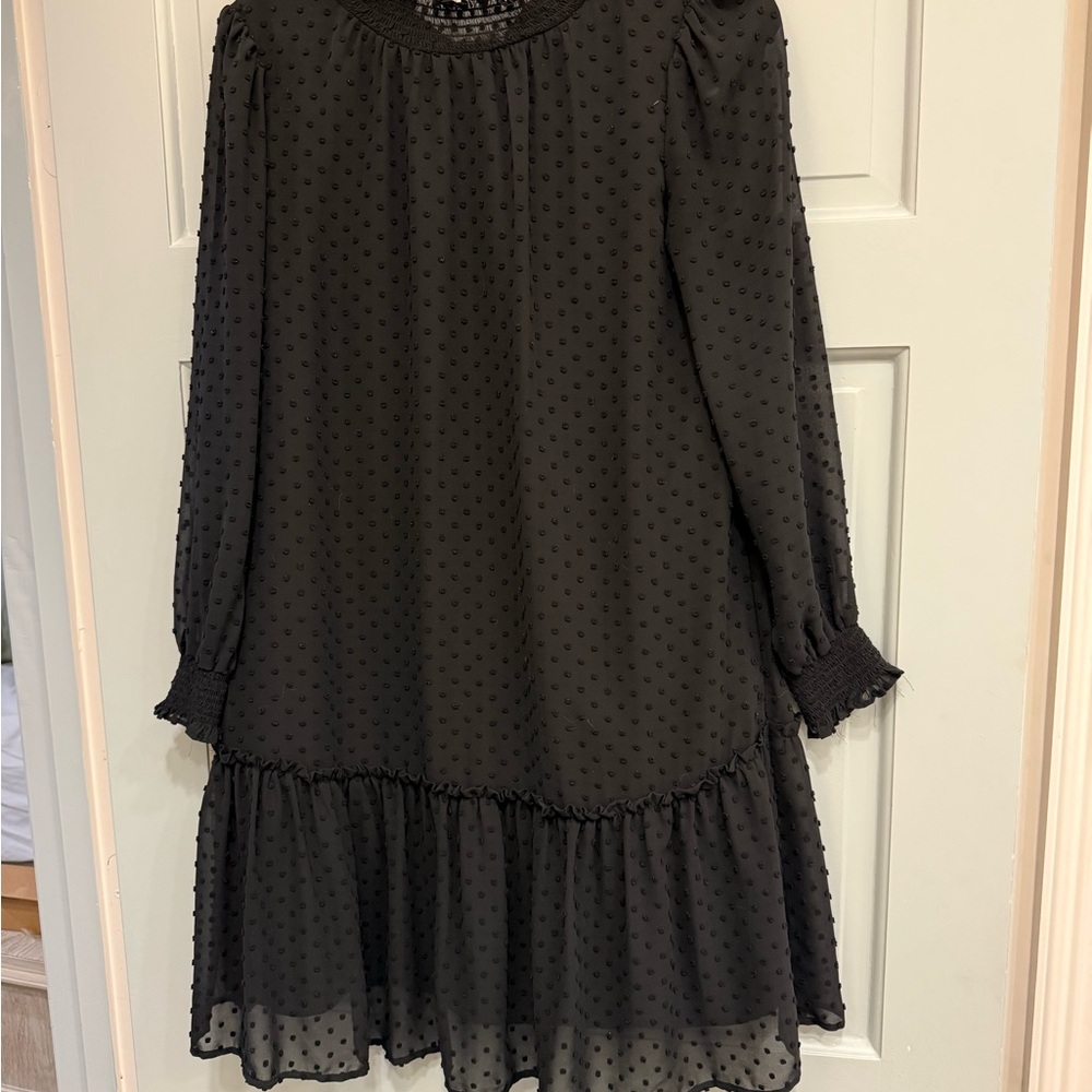 J. Crew Black Long Sleeve Swiss Dot Dress